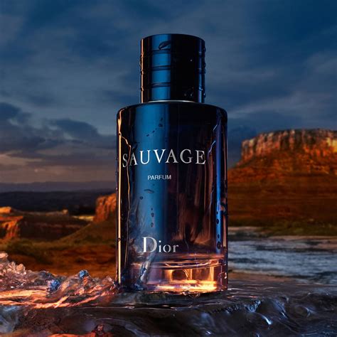 salvage dior eau de parfume|Dior Sauvage 100 ml price.